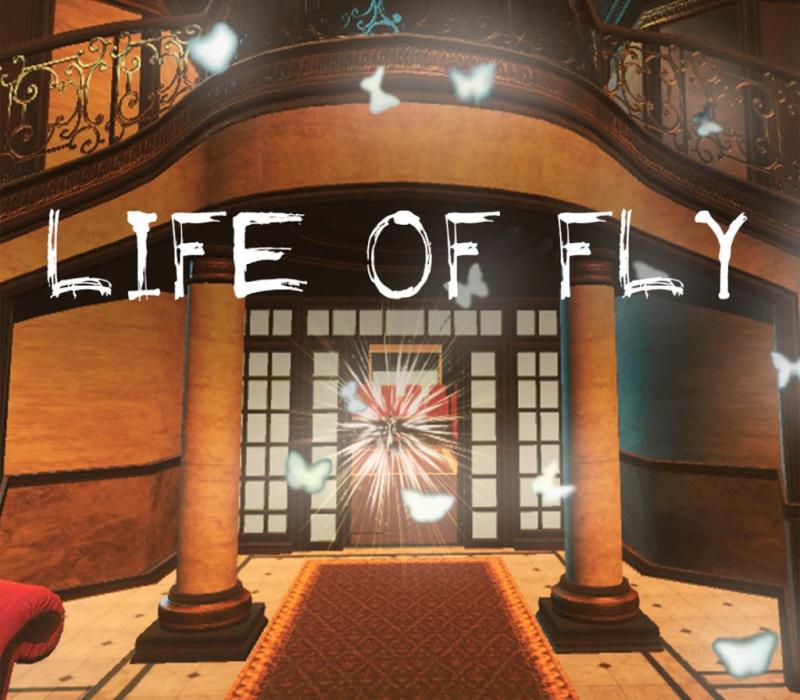 Life of Fly 