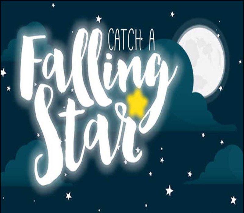 Catch a Falling Star 