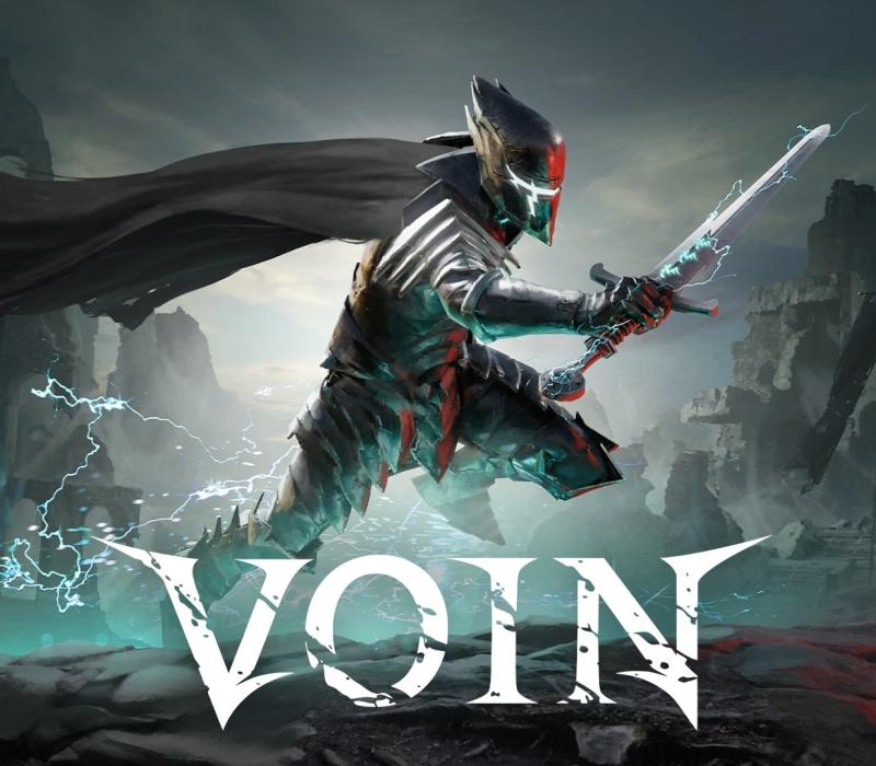VOIN
