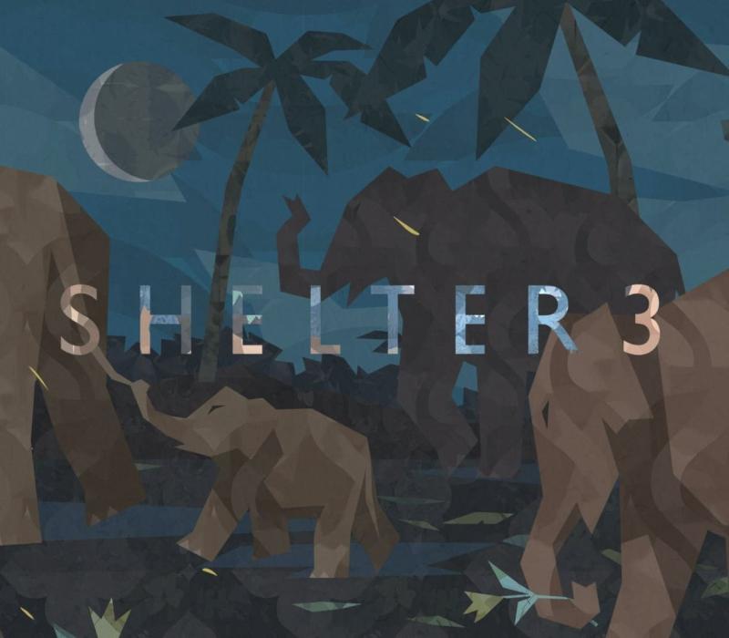 Shelter 3