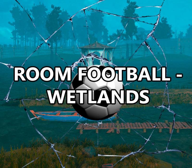 ROOM FOOTBALL: Wetlands