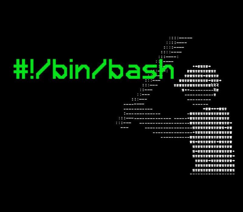 #!/bin/bash 