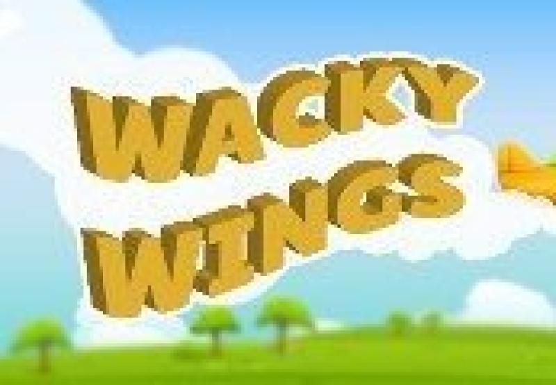 Wacky Wings VR