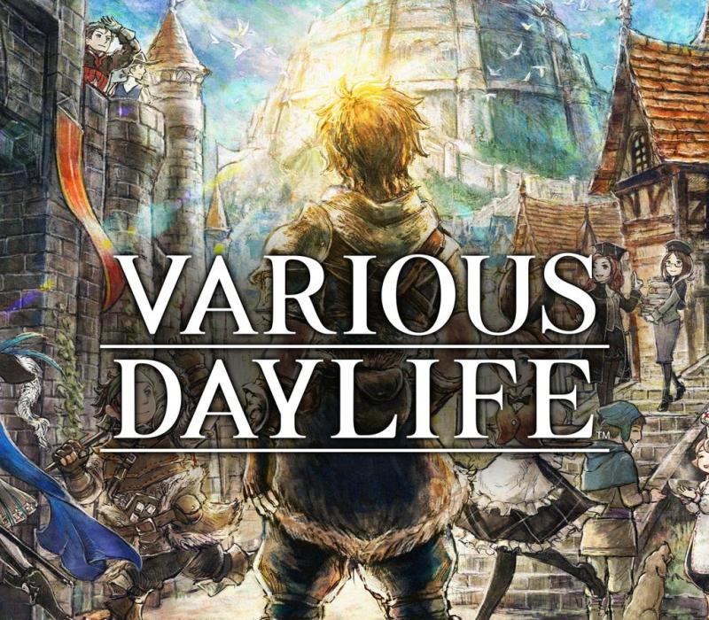 VARIOUS DAYLIFE