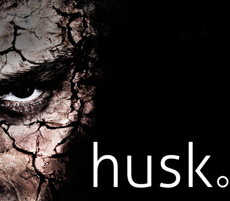 Husk RU VPN Activated 