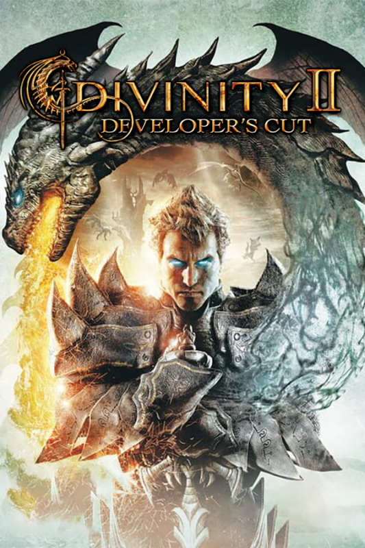 Divinity 2 Developers Cut