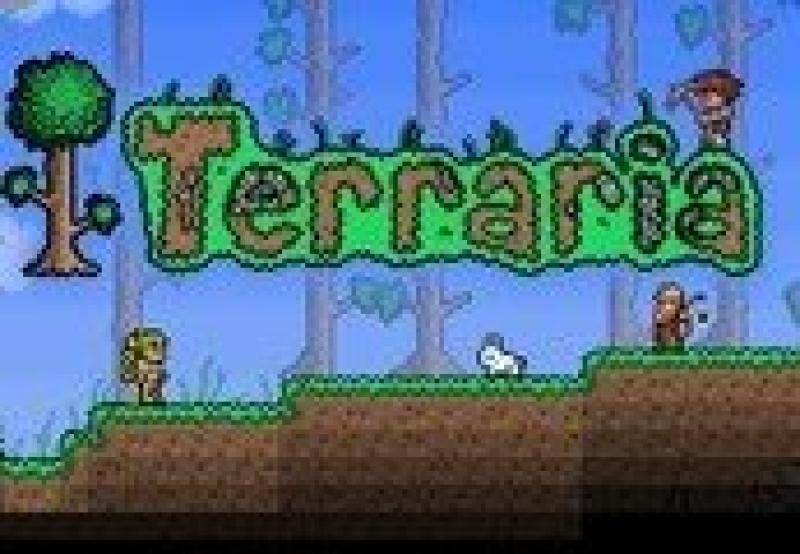 Terraria GOG CD Key