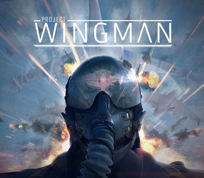 Project Wingman