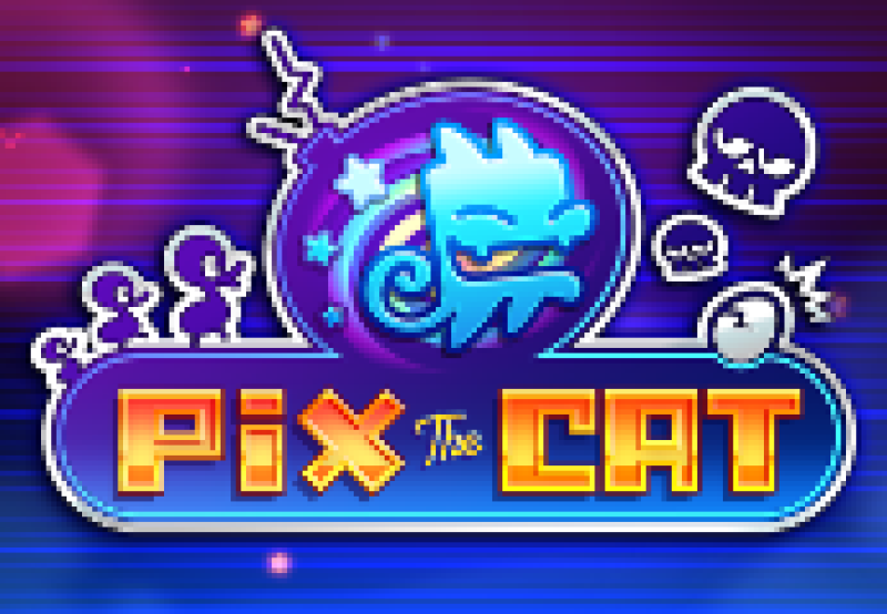 Pix The Cat