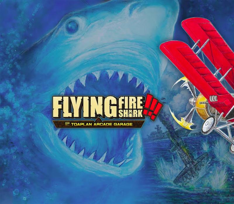 Toaplan Arcade Garage: Flying Fire Shark 