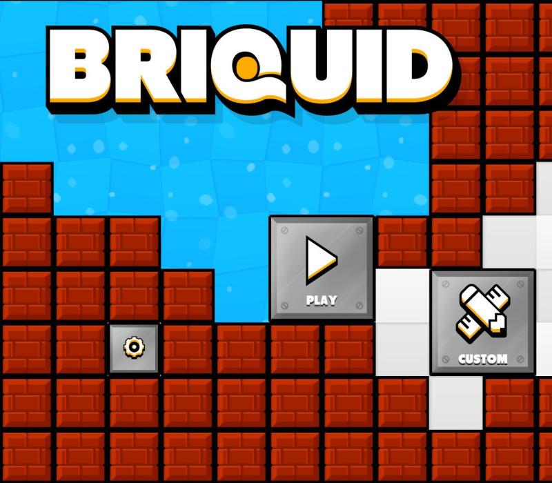 Briquid