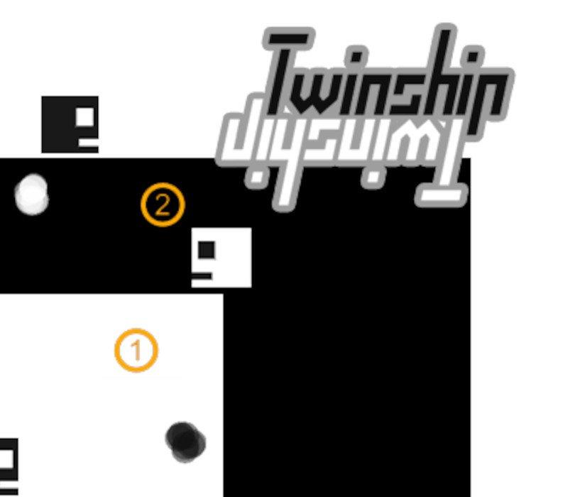 Twinship 