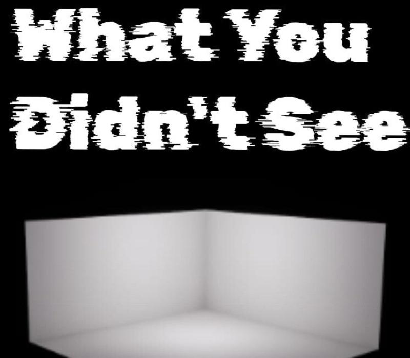 What You Didn't See 