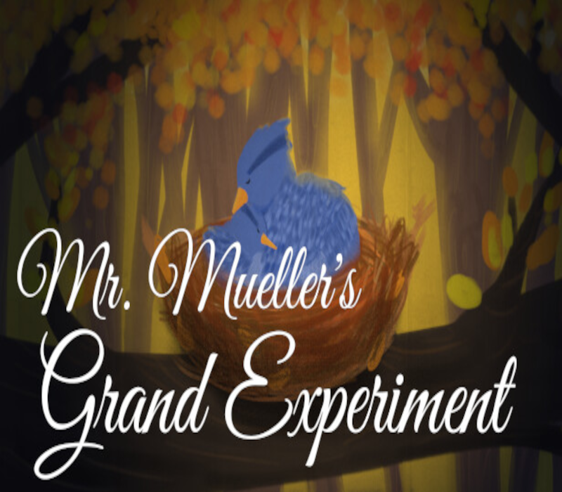 Mr. Mueller's Grand Experiment 