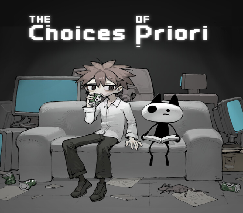 The Choices Of Priori 