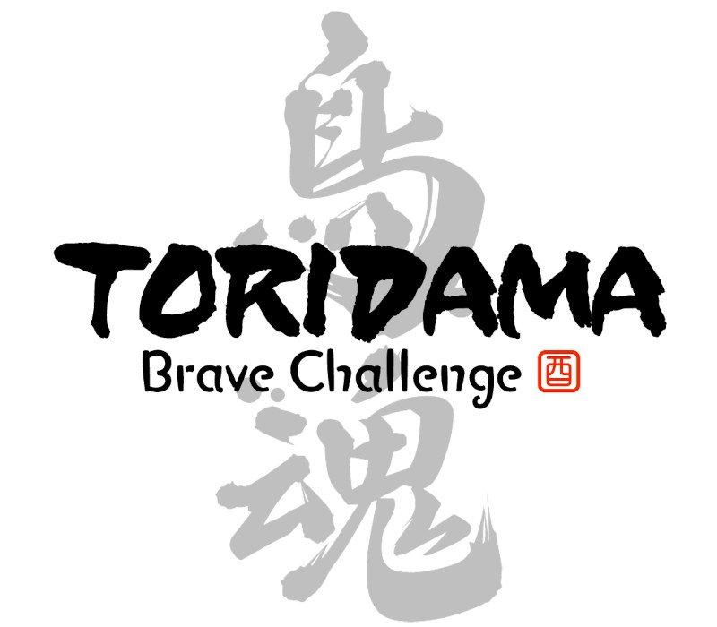 TORIDAMA: Brave Challenge 