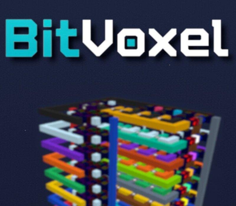 BitVoxel 