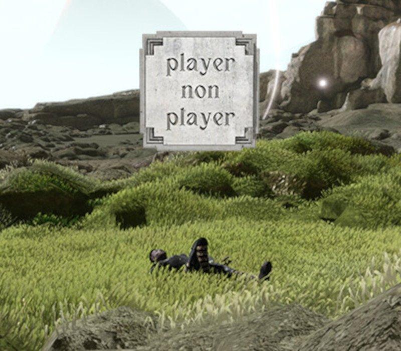 Player Non Player 