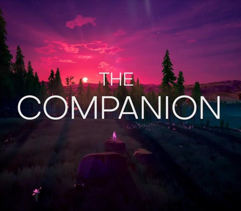 The Companion 