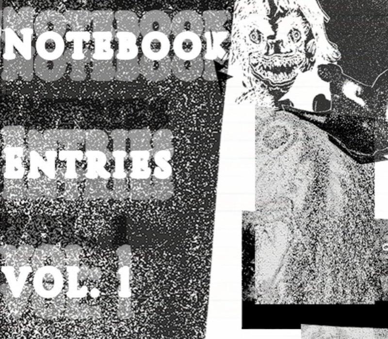 Notebook Entries Vol. 1
