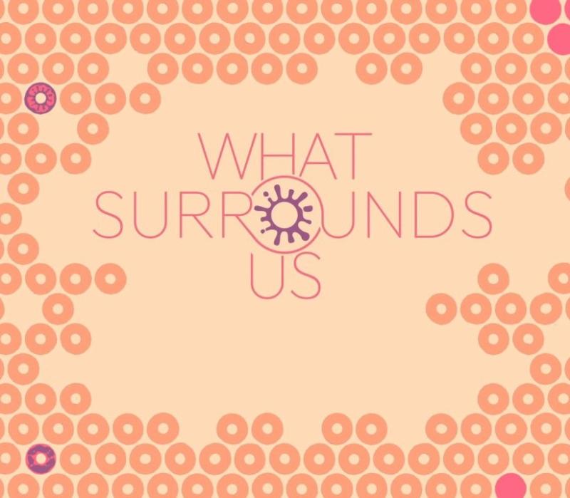 What Surrounds Us 