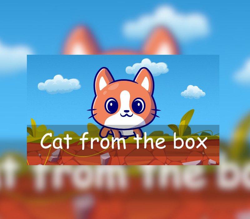 Cat from the box