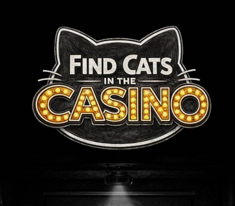 Find Cats in the Casino 