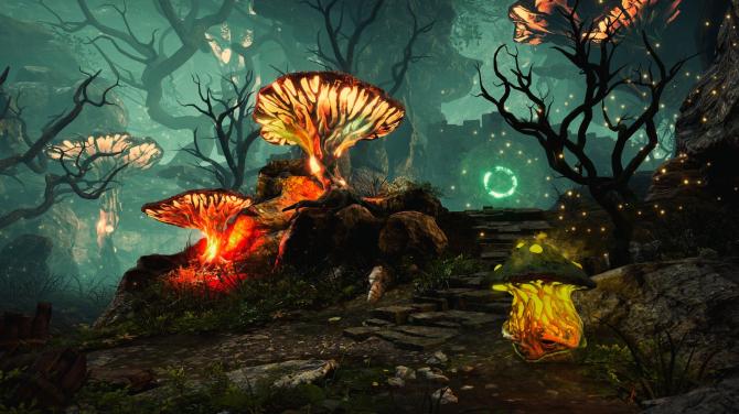 The Wizards - Dark Times: Brotherhood 