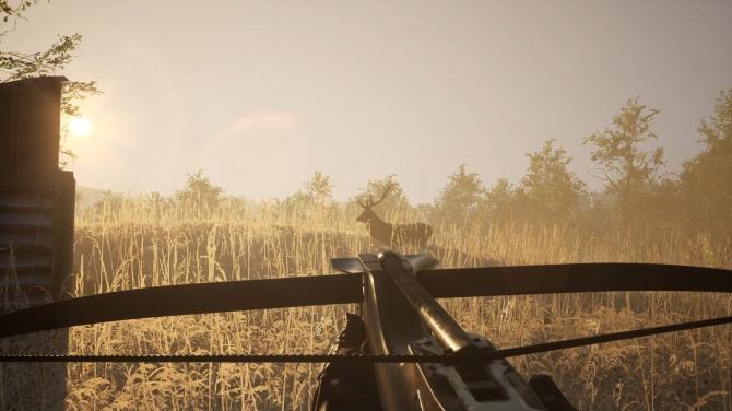 Sword & Shield Simulator 