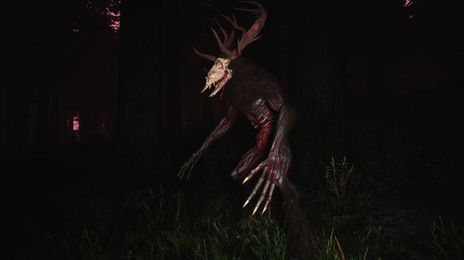 Mycelium: The Silent Contract 