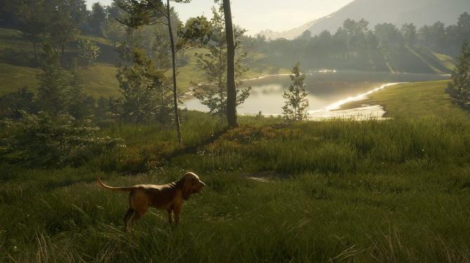theHunter: Call of the Wild Starter Bundle 