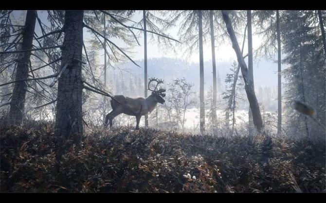 theHunter Call of the Wild Master Hunter Bundle 