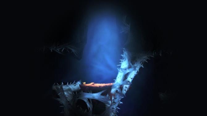 Wenjia Complete Edition US 