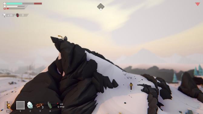 Project Winter 