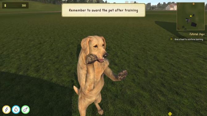 Animal Trainer Simulator 