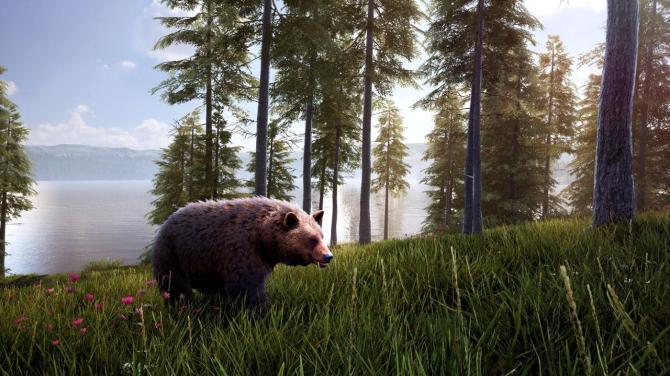 Hunting Simulator 2 Bear Hunter Edition US 