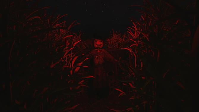 CornField 