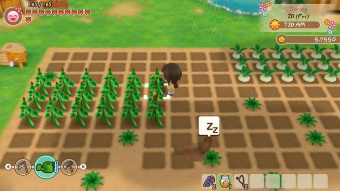 STORY OF SEASONS: Friends of Mineral Town Digital Edition 