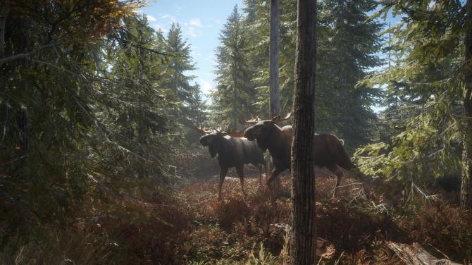 theHunter: Call of the Wild - Ultimate Starter Bundle 