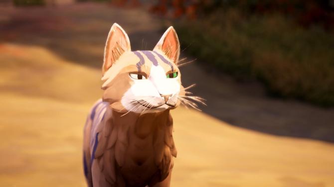 Warrior Cats: Clans of the Forest 