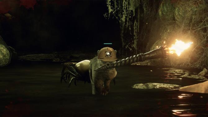 DarkRay 