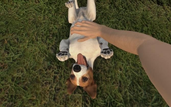 Pets Hotel 