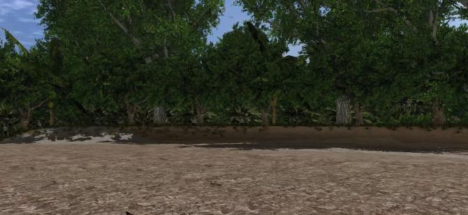 Explore the forest Kill!!! 