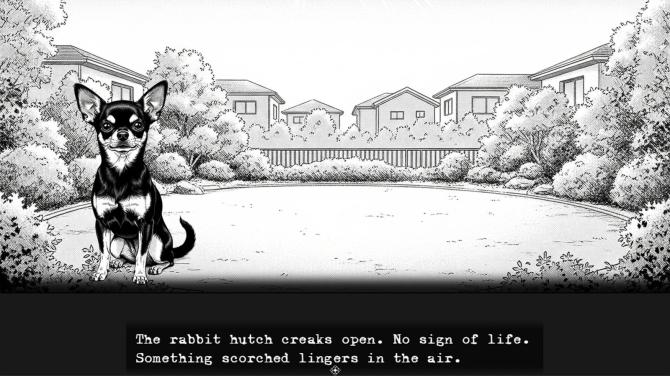 A Dog Story 