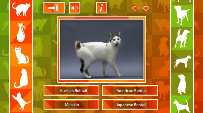 JQ: dogs & cats 