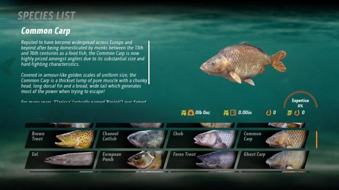 The Catch: Carp & Coarse 