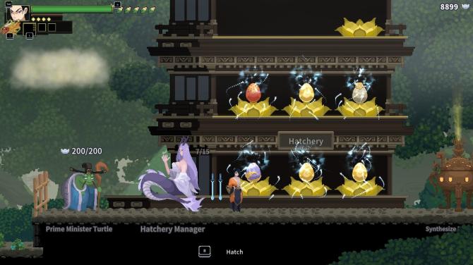 Soulbound Roguelike 