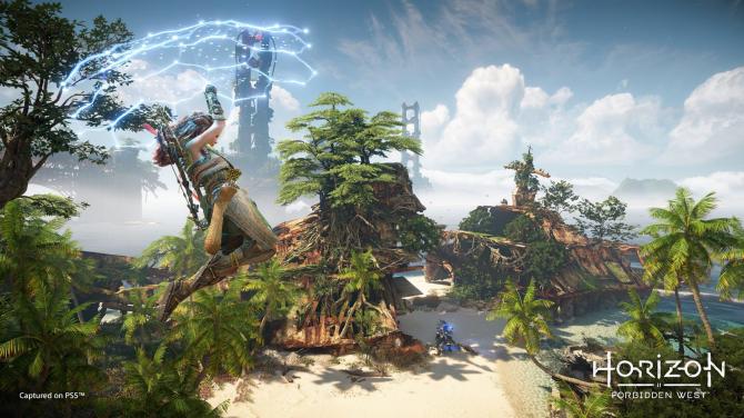 Horizon Forbidden West PS4/PS5 Access 