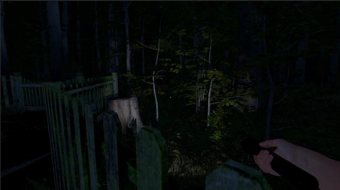 The Greys: Human Abductions 