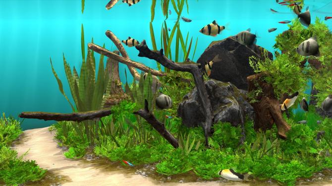 Behind Glass: Aquarium Simulator 